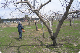 4月 土壌改良